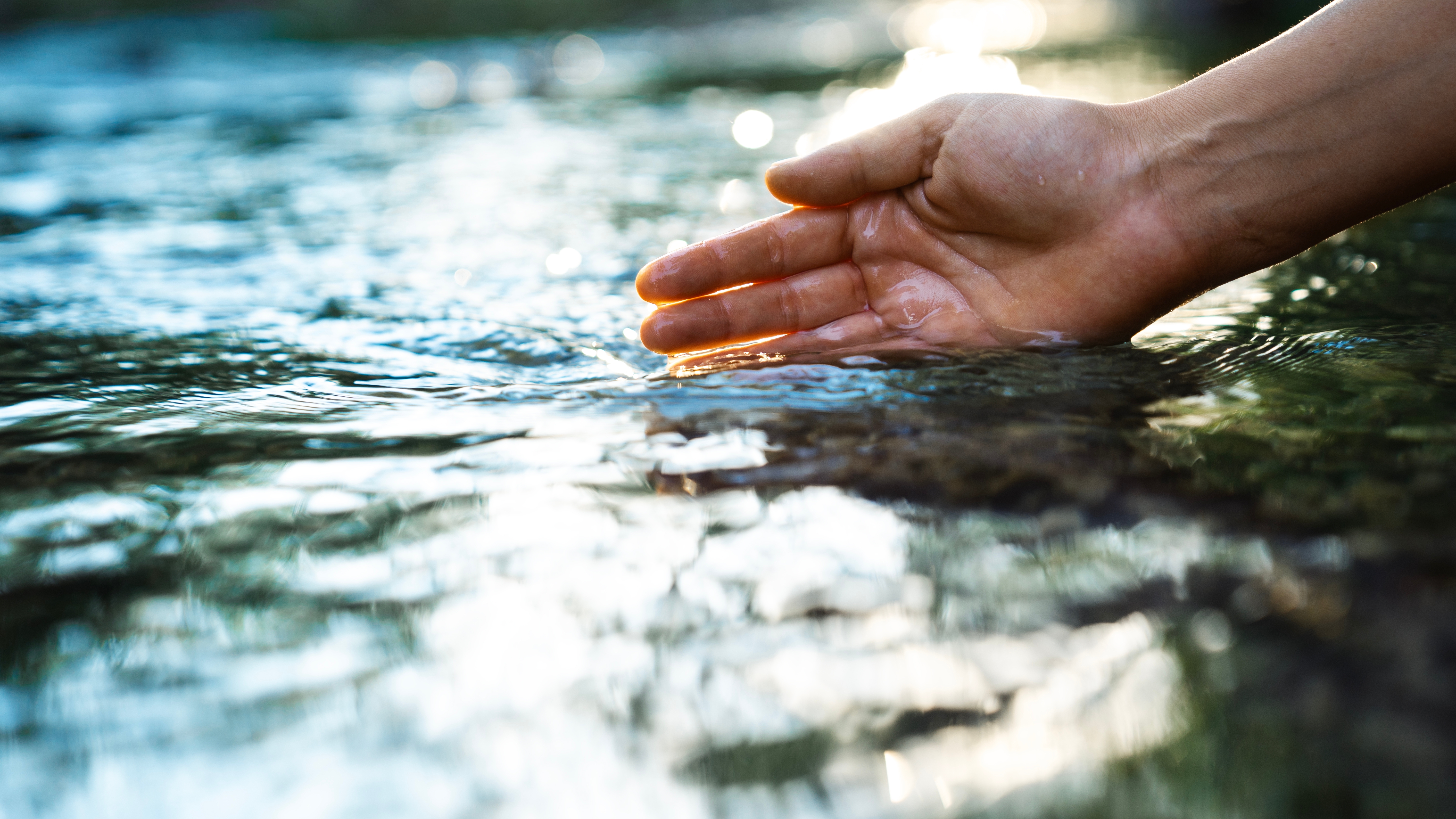 A hand resting gently on the surface of still water